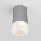 Уличный потолочный светильник Elektrostandard 35139/H серый Light LED a057158