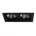 Светильник Потолочный Arte Lamp A7007PL-2BK PRIVATO