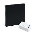 Выключатель беспроводной TM181 230V 500W одноклавишный с радиочастотным контроллером LD100, черный Feron 50507