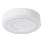 Светильник Потолочный Arte Lamp A7806PL-2WH ANTARES