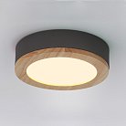 Потолочная Люстра Wudda D50 Серый 141163-26 ImperiumLoft
