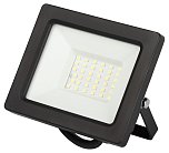 Прожектор уличный ЭРА LPR-042-3-65K-030