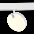 Трековый светильник ST LUCE ST359.536.15 SKYLINE 48