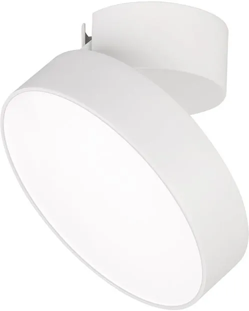 Накладной светильник Arlight 026452 Накладной светильник Arlight 026452