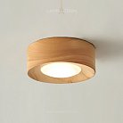 Точечный свет WOODSPOT LIGHT Встраиваемый вариант Lampatron woodspot-light-in 8185-22397