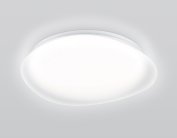 Потолочный светильник Ambrella light FZ1610 FR ORBITAL