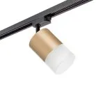 Комплект со светильником Lightstar R1T349081 Rullo