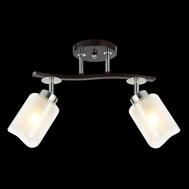 Потолочный светильник Citilux CL156122 Фортуна
