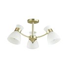 Потолочная люстра LUMION 4535/3C WILMA