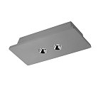 Потолочный светильник Loft IT OL1072-GH/2 Architect