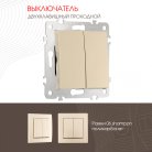 Выключатель двухклавишный проходной (на 2 направления), 10AX 250V Arte Milano 206.32-2.shampan am