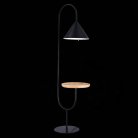 Торшер ST Luce SL1802.405.01 AMIRO
