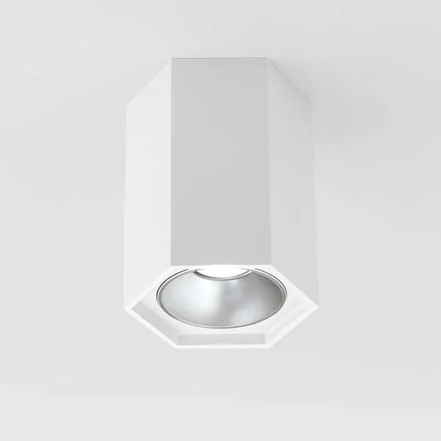 Накладной светильник Elektrostandard 25036/LED белый матовый/серебро a055856