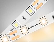 Светодиодная лента Ambrella Light GS1001