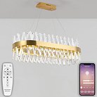 Подвесная люстра Natali Kovaltseva LED LAMPS 81248 ALEXANDRIA