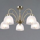 Потолочная люстра ILLUMICO IL0789-5CSQ-25 AB AREZZO