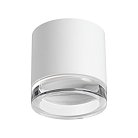 Потолочный светильник Novotech 371029 GEM