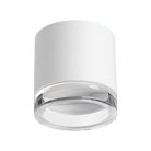 Потолочный светильник Novotech 371029 GEM