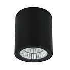 Уличный потолочный светильник Arte Lamp A1313PF-1BK TORCULAR