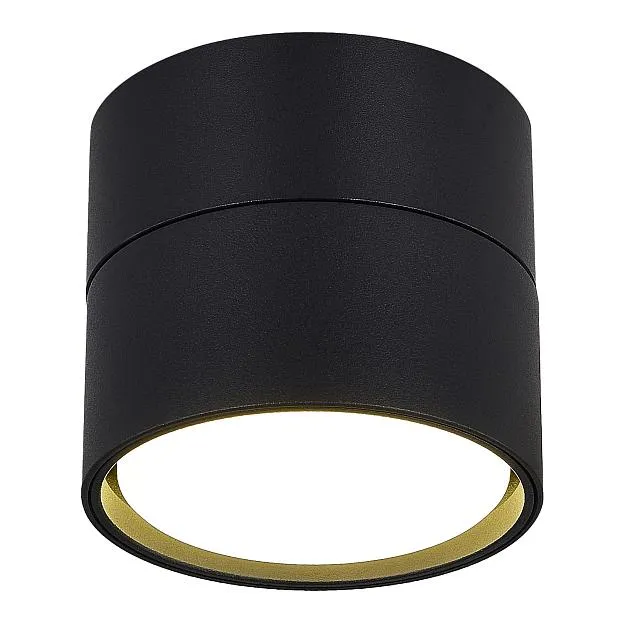 Светильник потолочный ST Luce ST651.402.01 Светильник потолочный ST Luce ST651.402.01