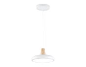 Подвесной светильник Ambrella light FL4838