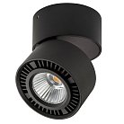 Накладной светильник Lightstar 213817 FORTE MURO