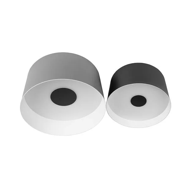 Потолочный светильник Loft IT 10360/2 Duo