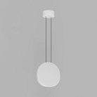 Подвесной светодиодный светильник Ledron 9203P/1B White
