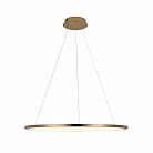 Подвесной светильник Loft IT 10014L Ring