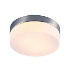 Потолочный светильник Arte Lamp A6047PL-2SS Aqua-Tablet