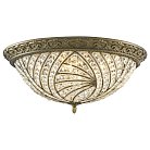 Потолочный светильник Wertmark WE311.06.607 Frances