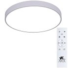 Светильник Потолочный Arte Lamp A2670PL-1WH ARENA