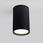 Уличный потолочный светильник Elektrostandard Light 2101 (35128/H) черный a056268