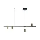 Потолочная люстра Loft IT 8120-4 Tribes