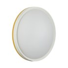 Настенно-потолочный светильник SONEX 7709/DL KEZO YELLOW