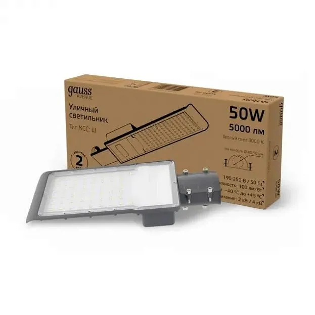 Уличный консольный светильник Gauss 629534150 Avenue 