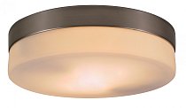 Светильник настенно-потолочный Globo 48402 Opal