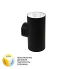 Фасадный светильник Arte Lamp A6109AL-2BK ALCYONE