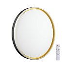 Настенно-потолочный светильник SONEX 7619/EL SAVI