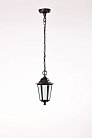 Уличный светильник подвесной Oasis Light 79805S Bl