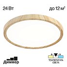 LED Светильник накладной Клён Citilux Бейсик CL738242V