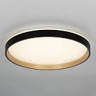 Светильник с пультом Citilux CL753511G ENZO