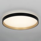 Светильник с пультом Citilux CL753511G ENZO