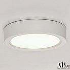 Светильник накладной светодиодный APL LED 3322.LDY6004M/6W/6K Ingrid