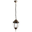 Уличный подвес Arte Lamp A3151SO-1BN PEGASUS