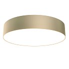 Потолочный светильник Technical Maytoni C032CL-L43MG4K Zon