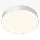 Потолочный светильник Citilux CL755390 BART