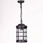 Уличный светильник подвесной Oasis Light 81205 Bl