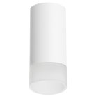 Накладной светильник Lightstar R43631 Rullo