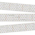 Светодиодная лента Arlight 020390(2) A350 60mm